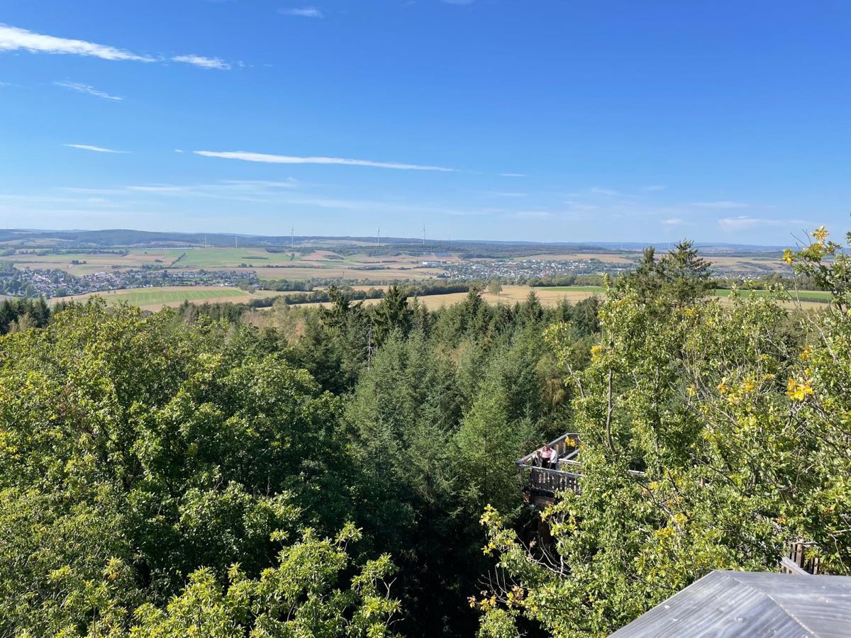 Blick von oben über Baumkronen auf eine weite Landschaft mit Feldern,
                      Dörfern und Windrädern am Horizont. Unten im Wald ein Stück des hölzernen
                      Baumwipfelpfads.