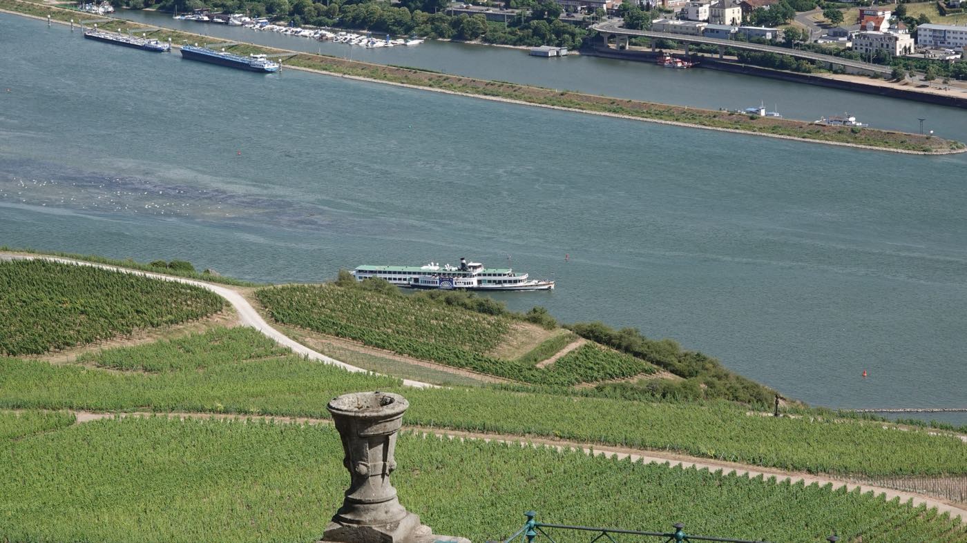 Blick vom Niederwalddenkmal über Weinberge auf den Rhein, auf dem ein
                    Raddampfer und Frachtschiffe unterwegs sind.